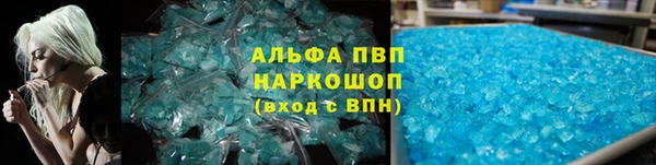ECSTASY Новозыбков