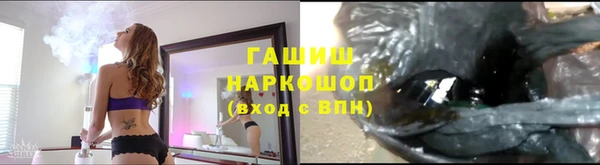 ECSTASY Новозыбков
