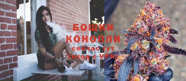 первитин Новодвинск