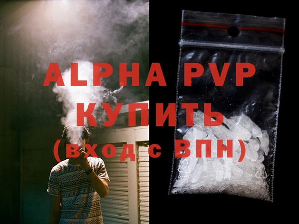 ECSTASY Новозыбков