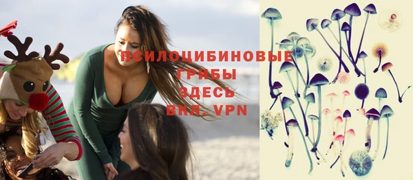 соль ск Новокубанск
